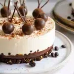 entremets mascarpone chocolat noir et cafe 2025 09 27 095738 150x150 1