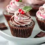cupcakes de noel chocolat menthe 2025 11 20 221443 150x150 1