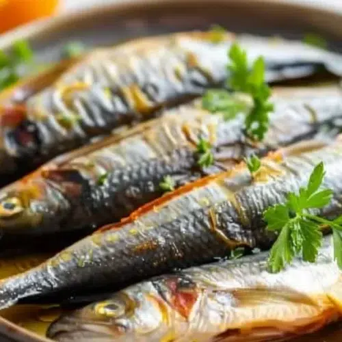 hareng saur a lhuile 2026 01 22 202550 1024x574 1