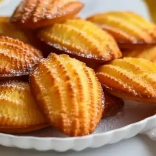 madeleines au citron 2026 01 02 182401 1024x574 1